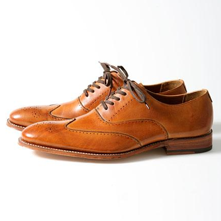 自动攻击网站工具下载